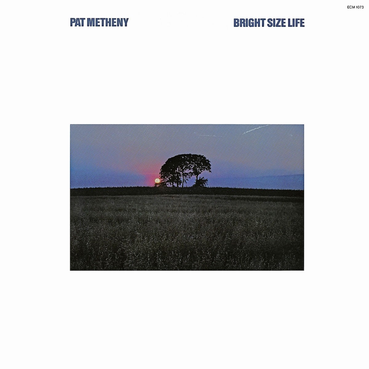 Afbeelding van Pat Metheny - Bright Size Life