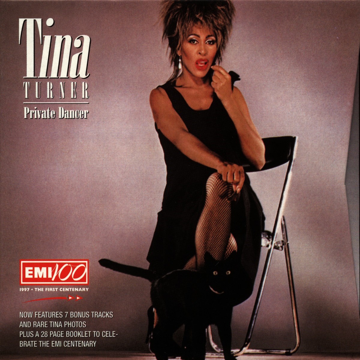 Afbeelding van Tina Turner - Private Dancer