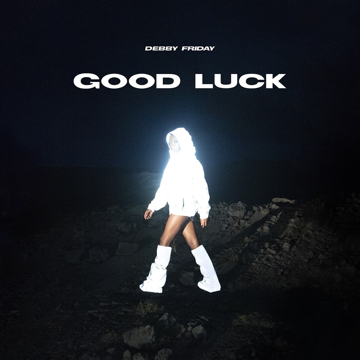 Afbeelding van Debby Friday - Good Luck