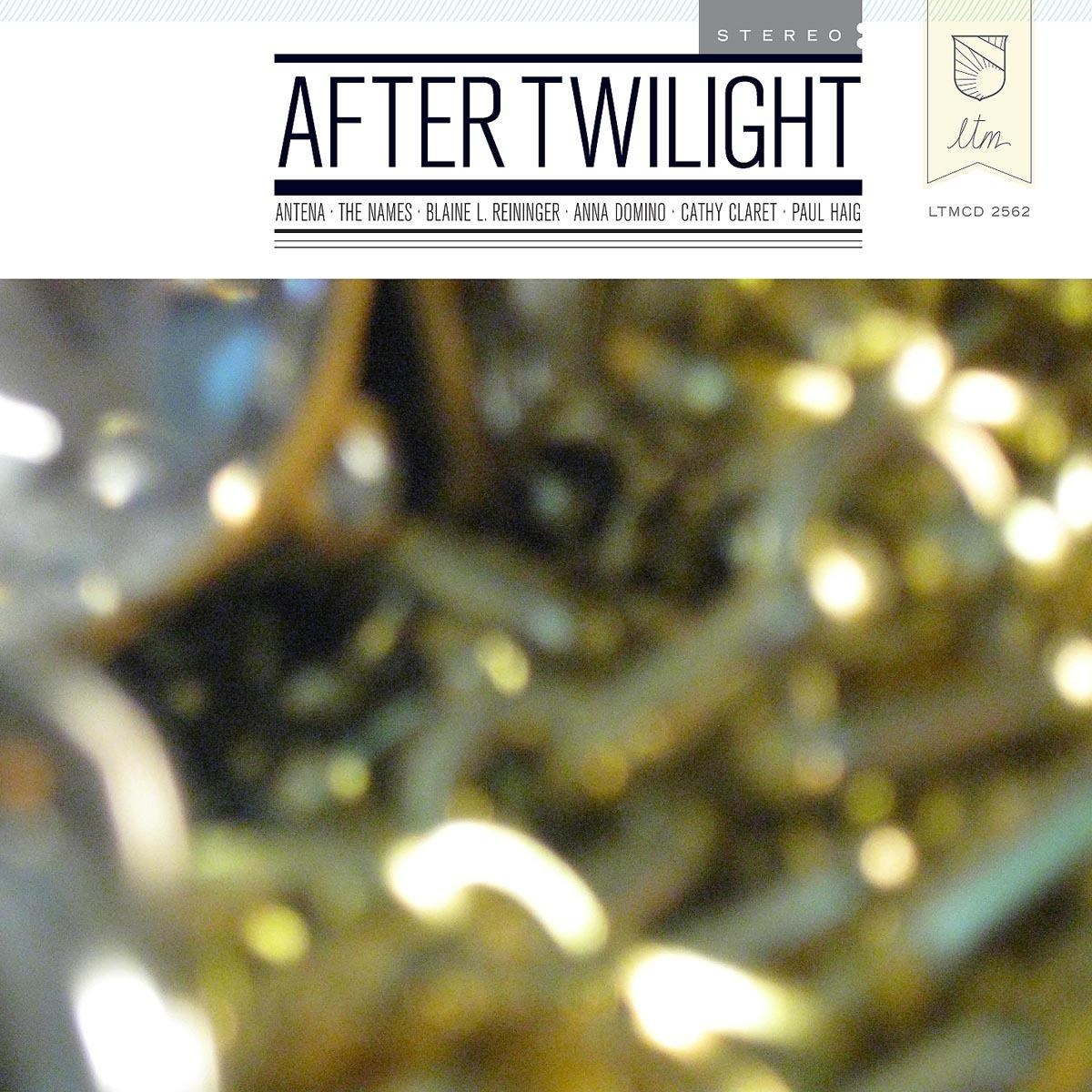 Afbeelding van Various Artists - After Twilight