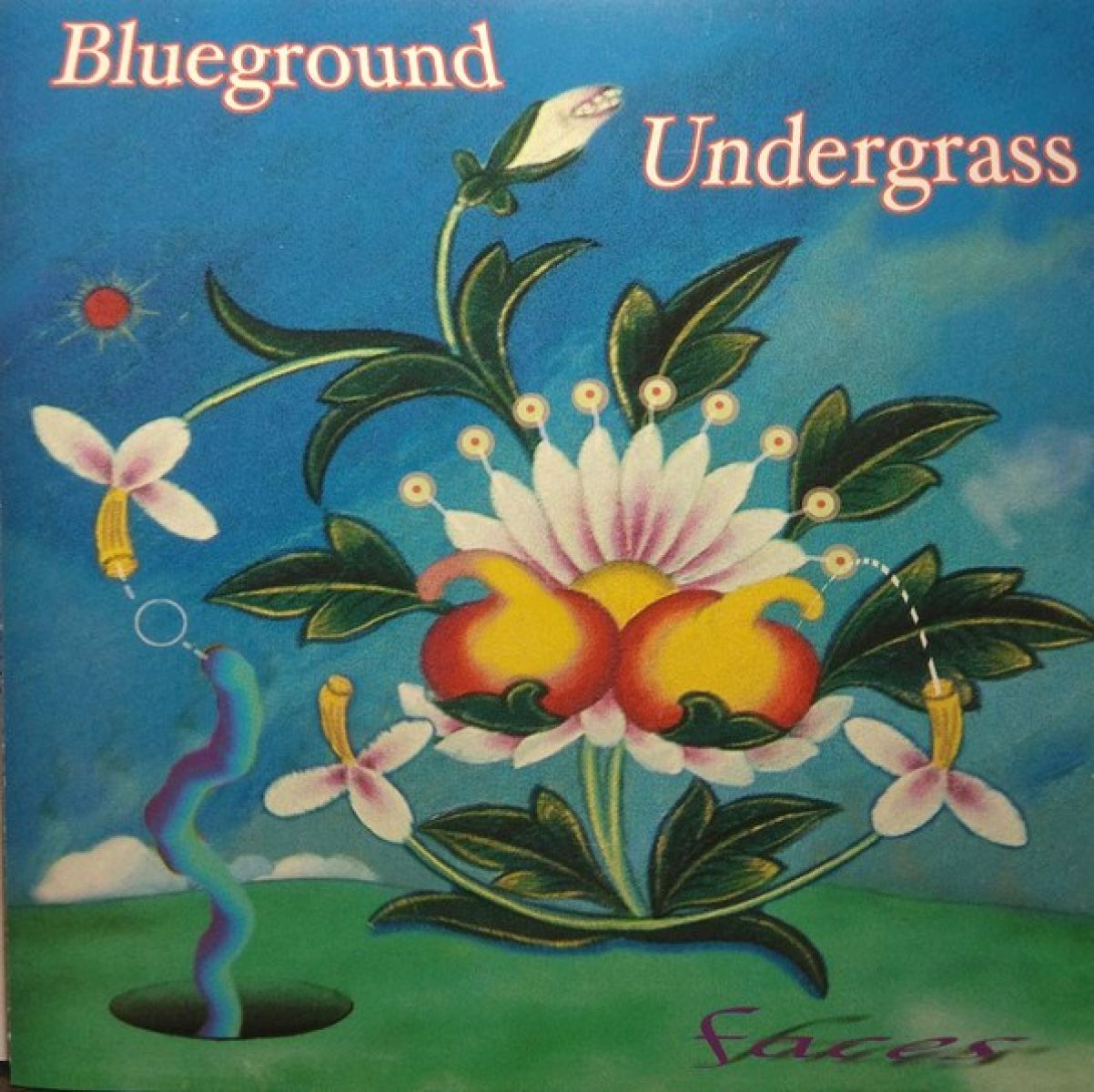 Afbeelding van Blueground Undergrass - Faces