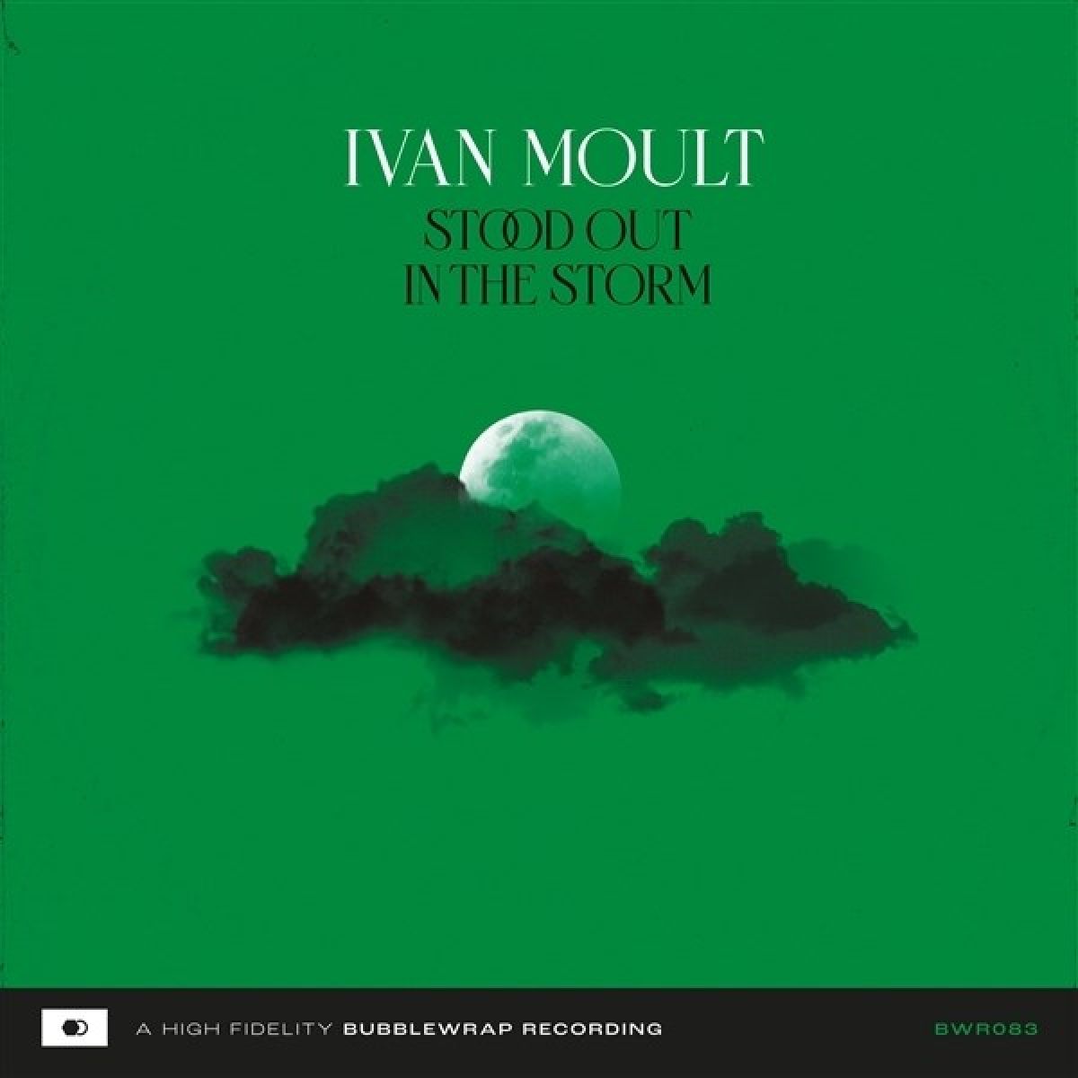 Afbeelding van Ivan Moult - Stood Out In The Storm