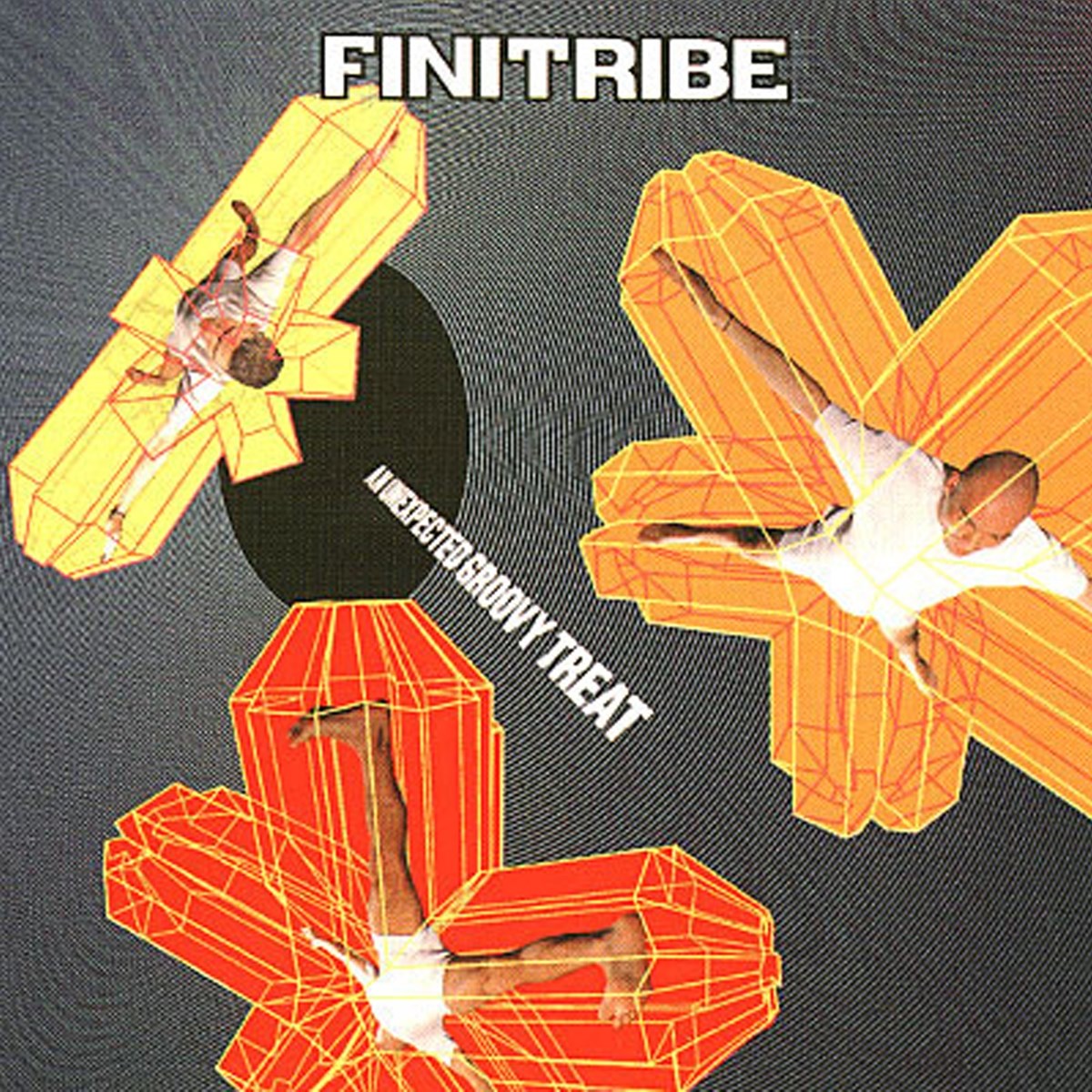 Afbeelding van Finitribe - An Unexpected Groovy Treat