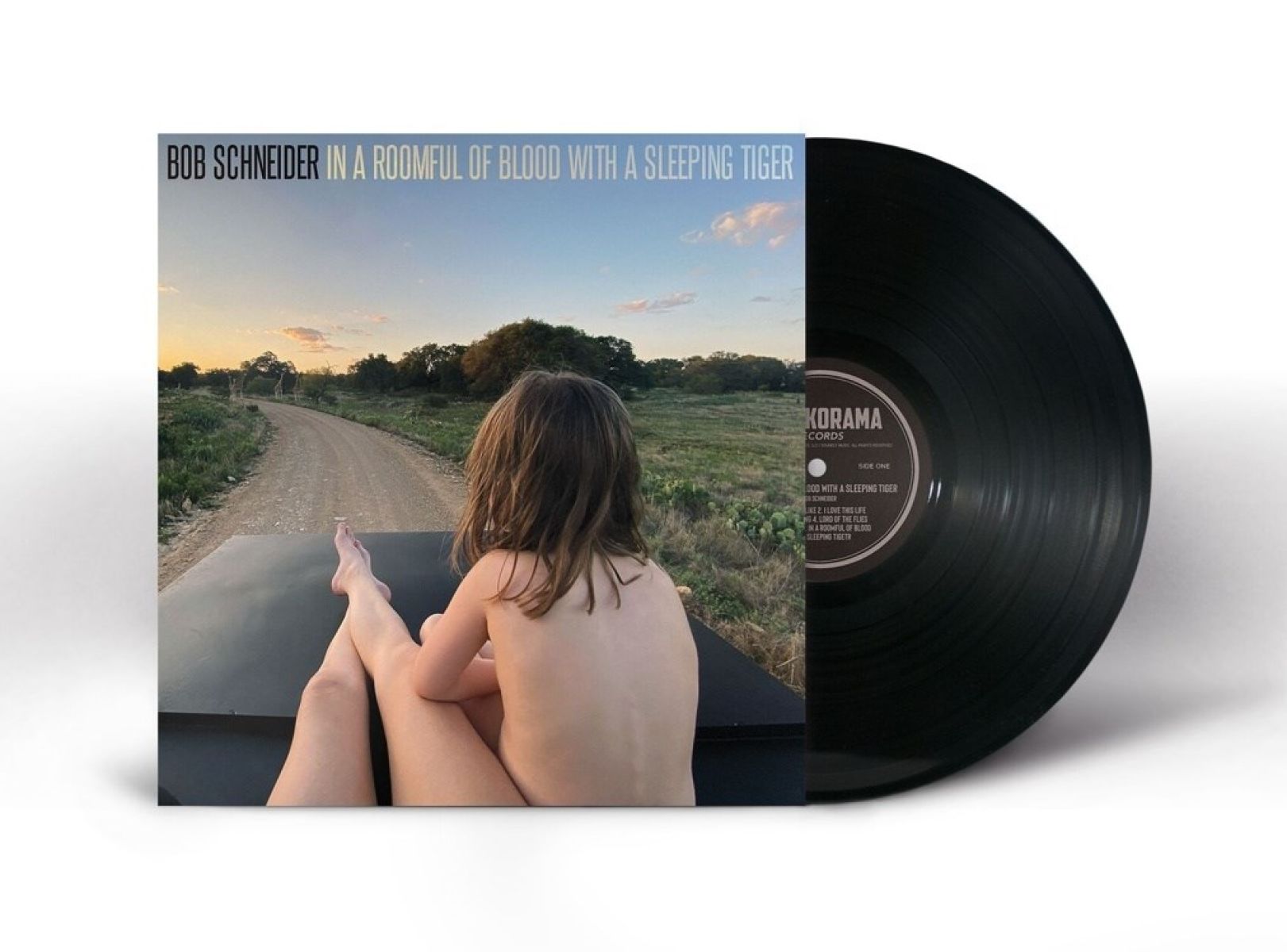 Afbeelding van Bob Schneider - In A Roomful Of Blood With A Sleeping Tiger
