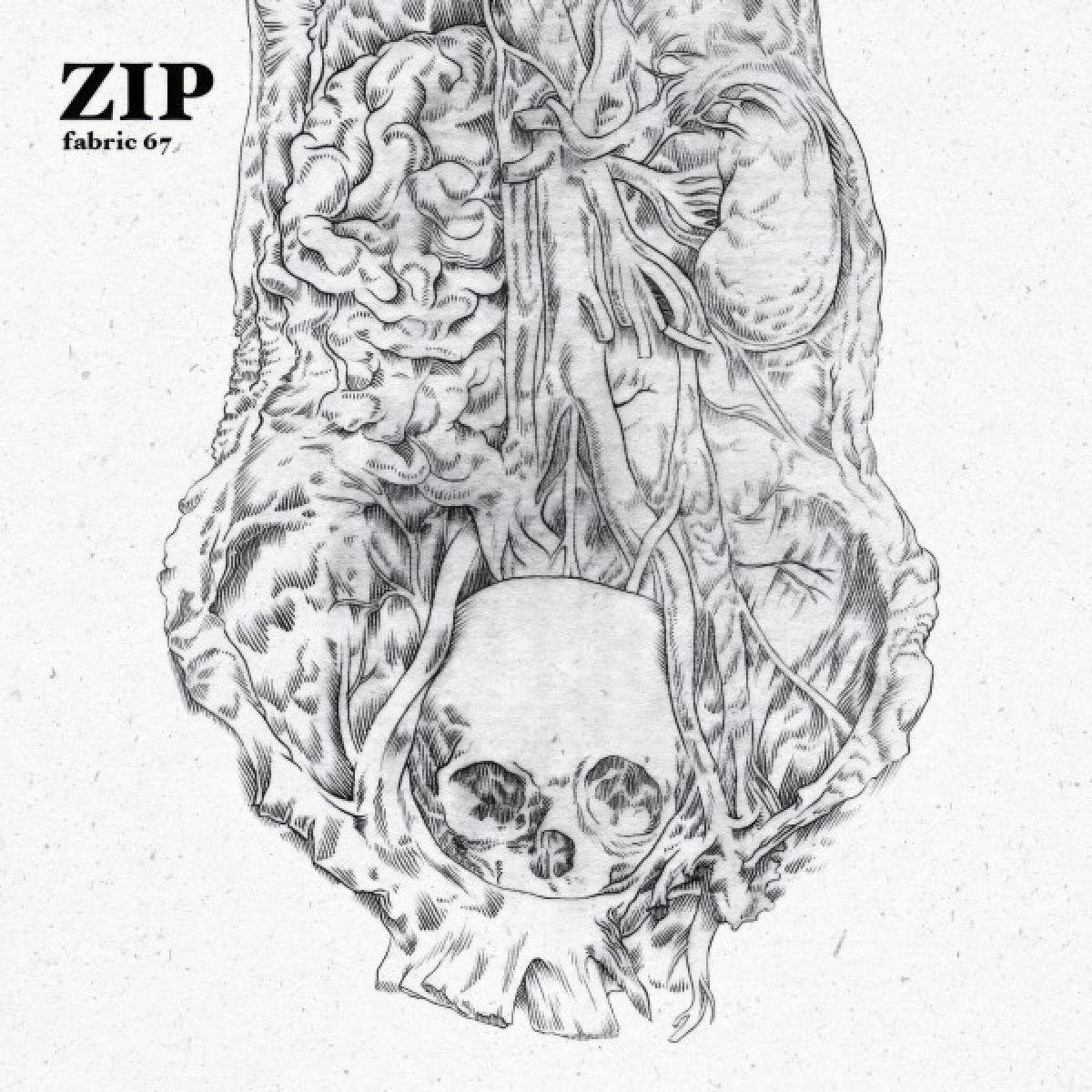 Afbeelding van Zip - Fabric 67