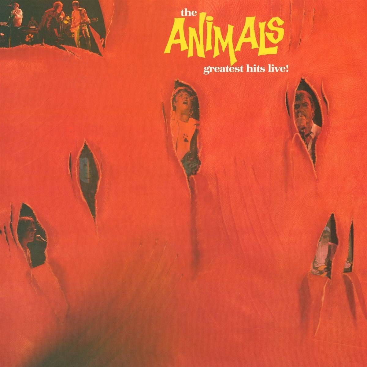 Afbeelding van The Animals - Greatest Hits Live!