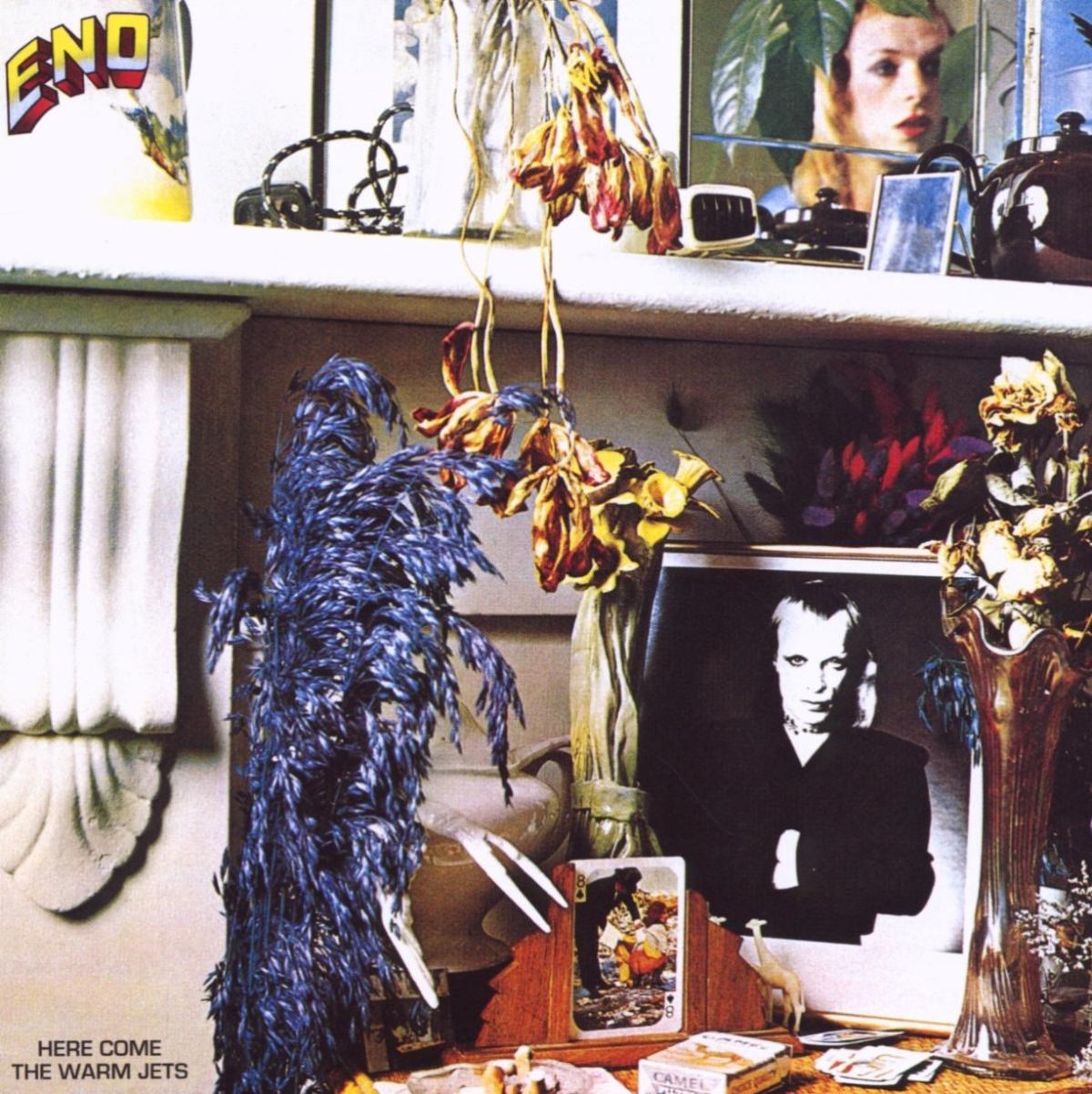 Afbeelding van Brian Eno - Here Come The Warm Jets