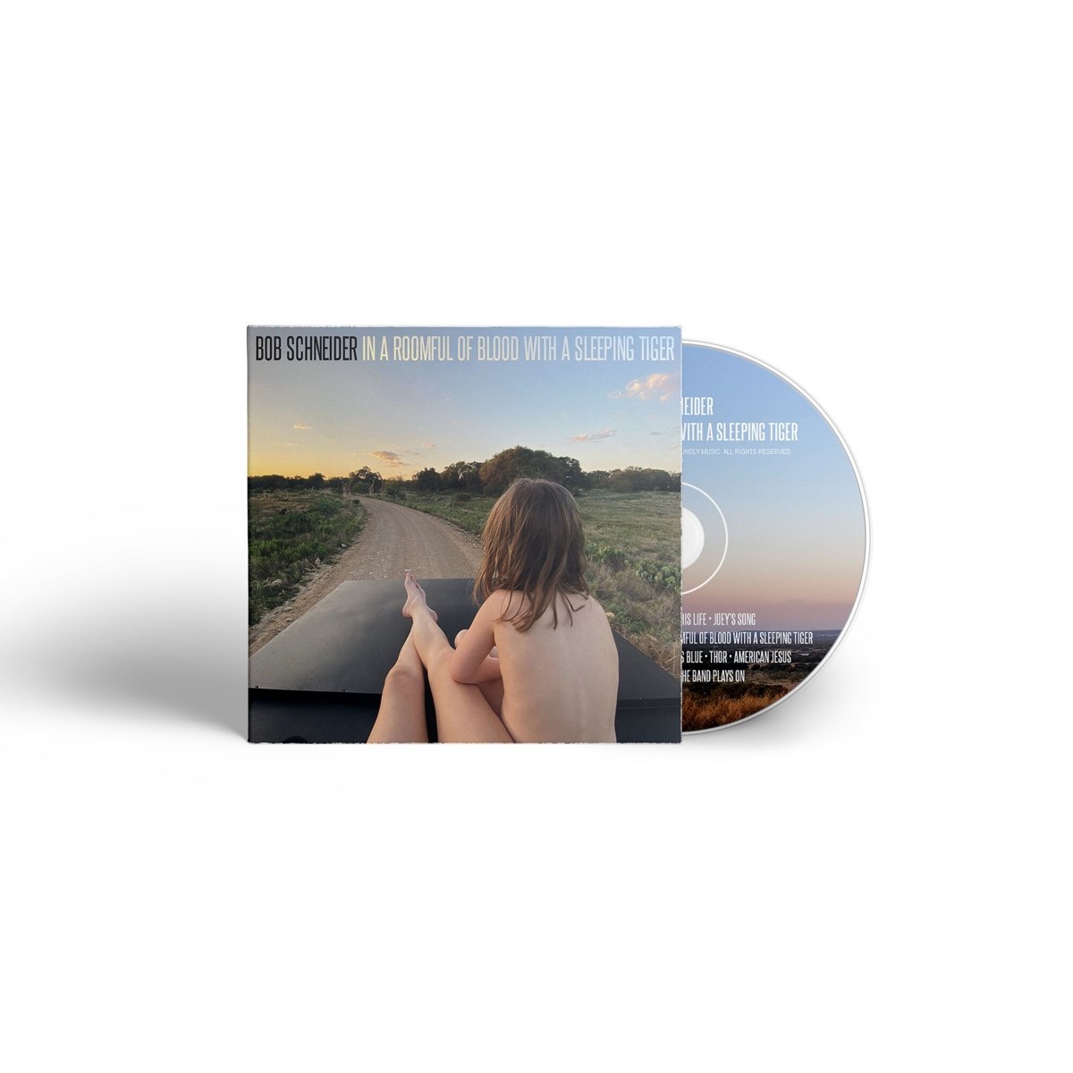 Afbeelding van Bob Schneider - In A Roomful Of Blood With A Sleeping Tiger