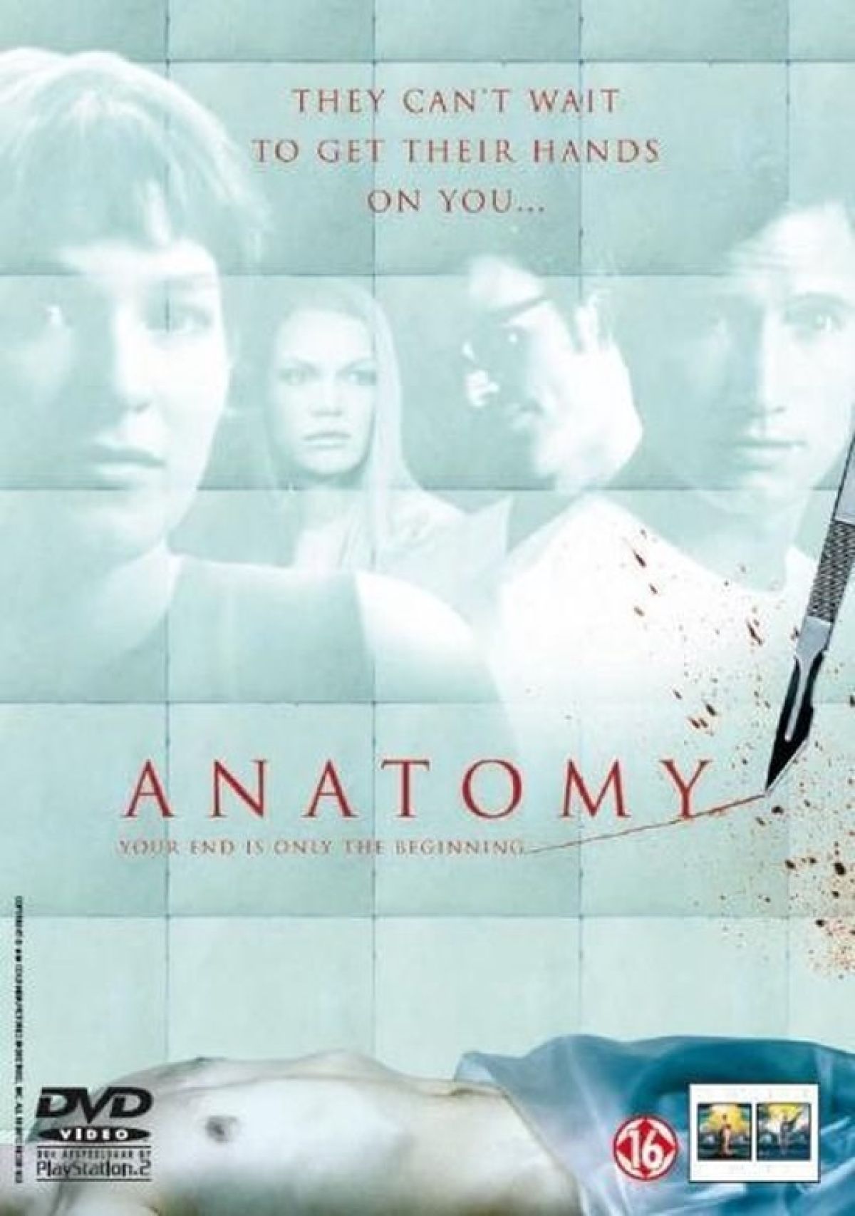 Anatomy 1