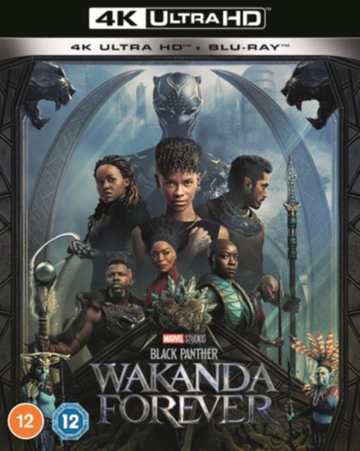 Afbeelding van Black Panther: Wakanda Forever