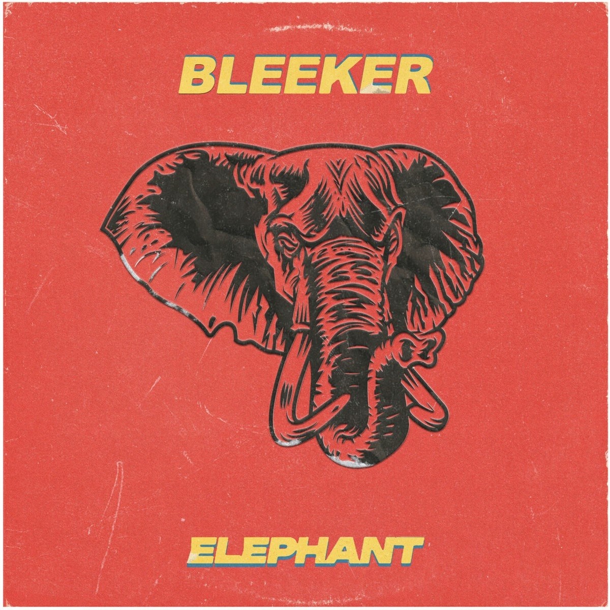 Afbeelding van Bleeker - Elephant
