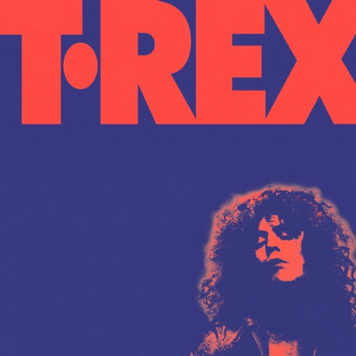 Afbeelding van Marc Bolan & T. Rex - The Alternative Singles Collection