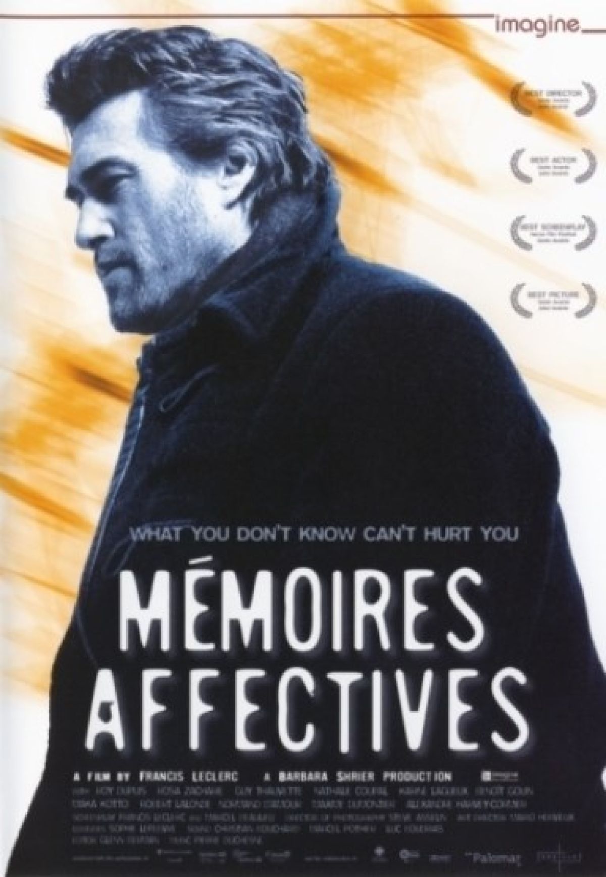 Afbeelding van Mémoires Affectives