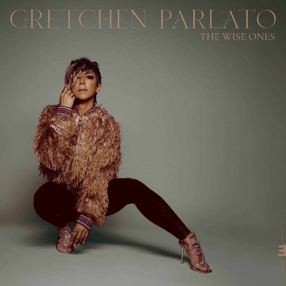 Afbeelding van Gretchen Parlato - The Wise Ones