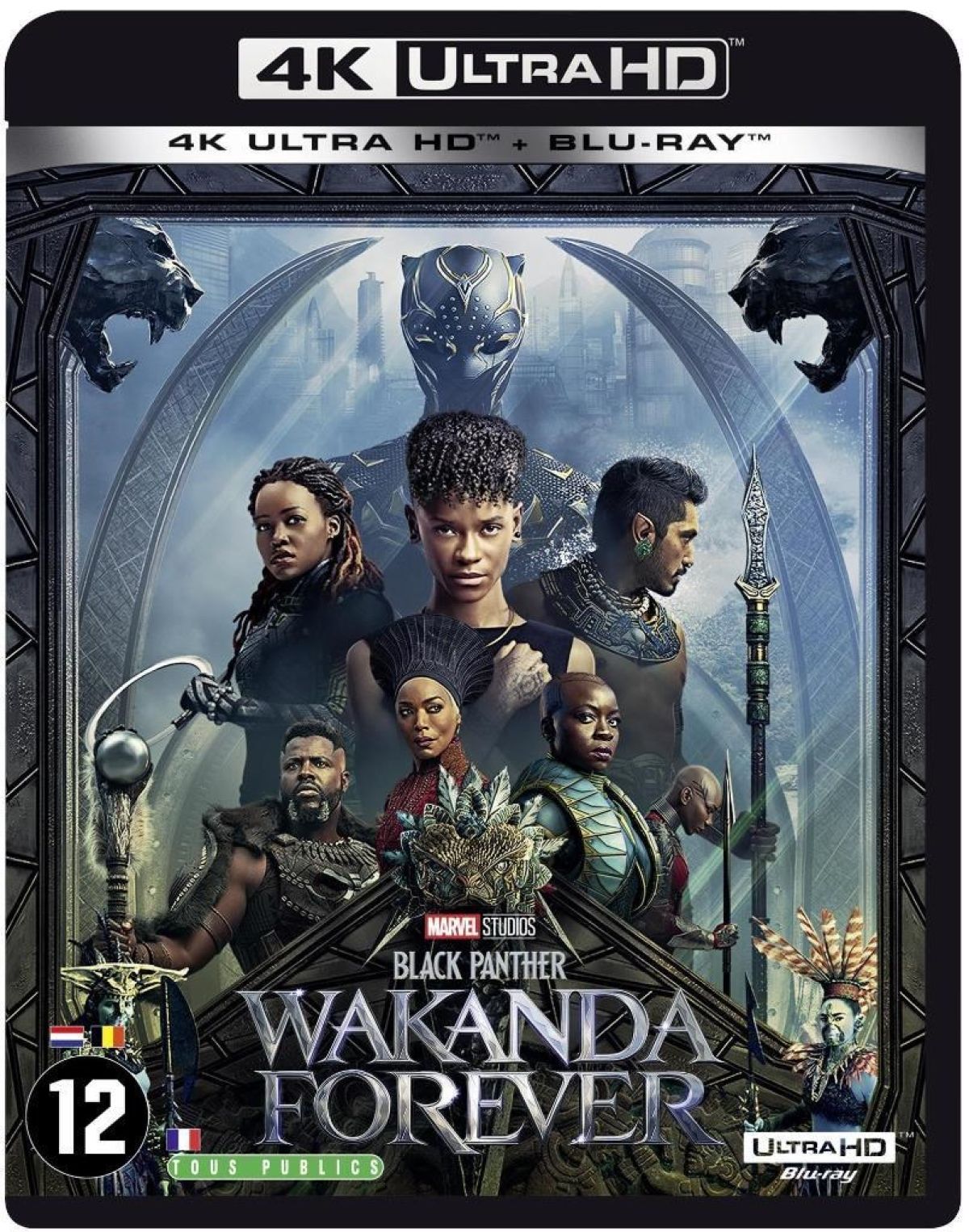 Black Panther - Wakanda Forever