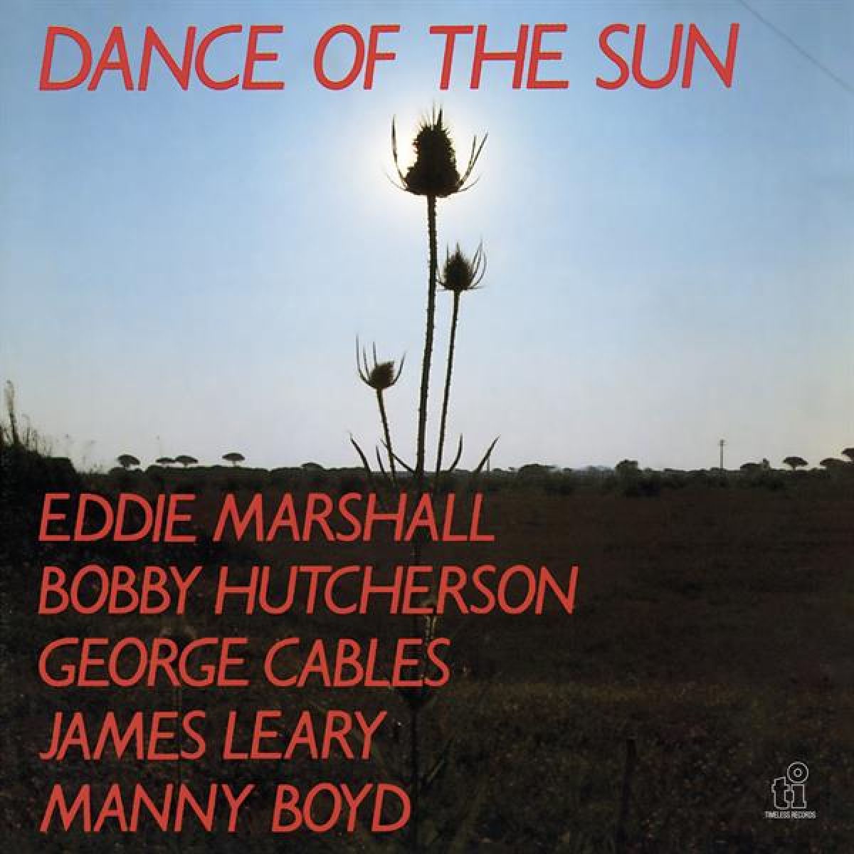 Afbeelding van Dance Of The Sun