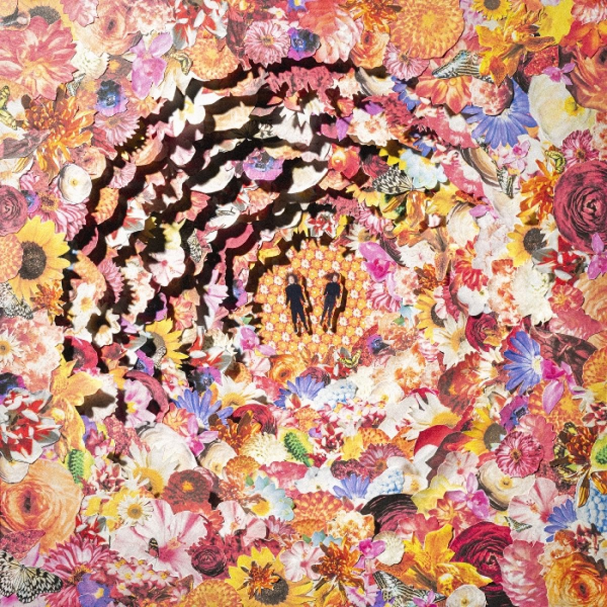 Afbeelding van Bimbo - The Bimbonacci Sequence