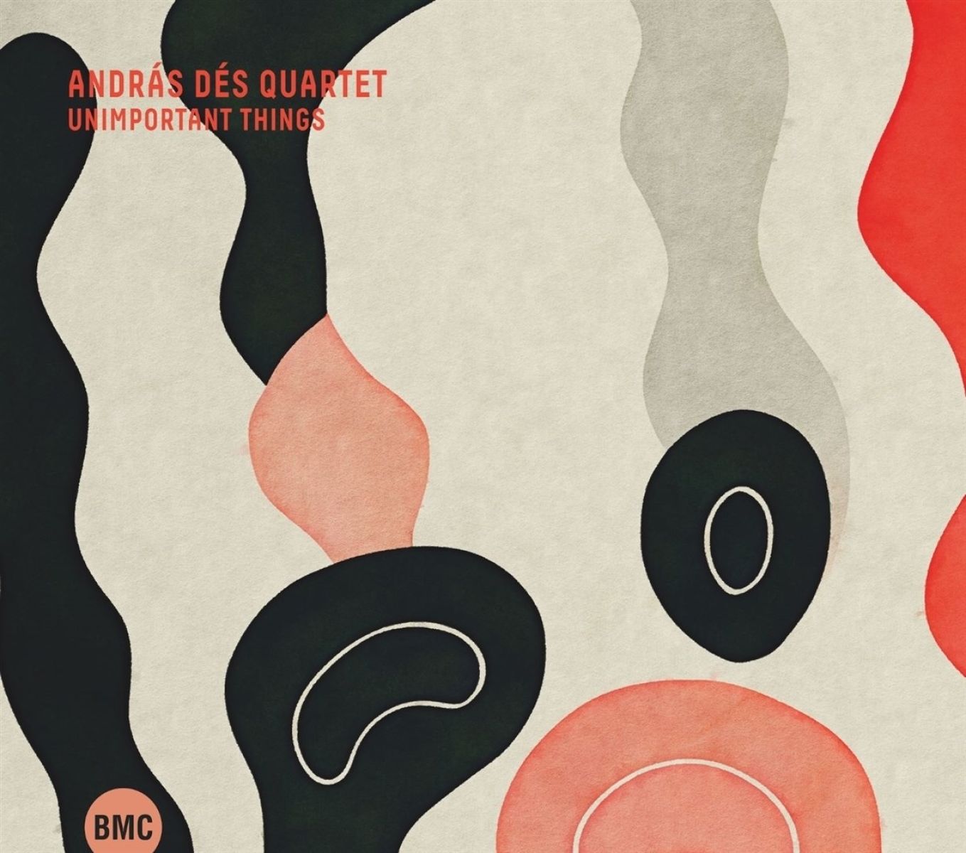 Andras Des Quartet - Unimportant Things