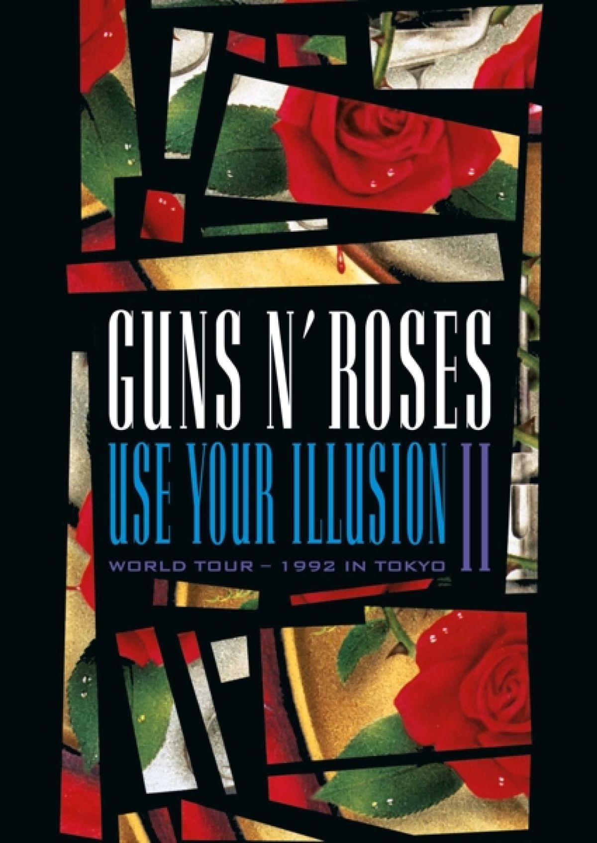Afbeelding van Guns N' Roses - Use Your Illusion II