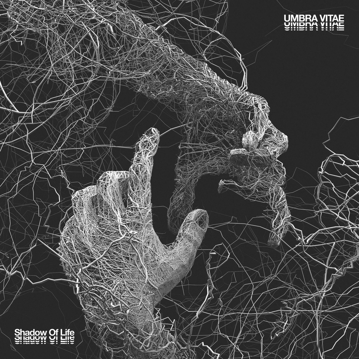Afbeelding van Umbra Vitae - Shadow Of Life