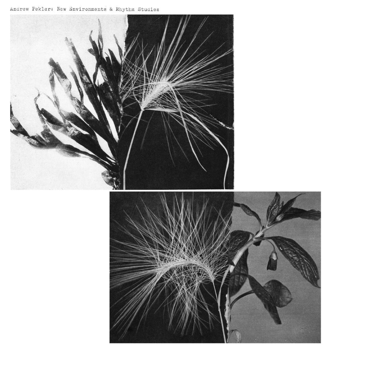 Afbeelding van Andrew Pekler - New Environments & Rhythm Studies
