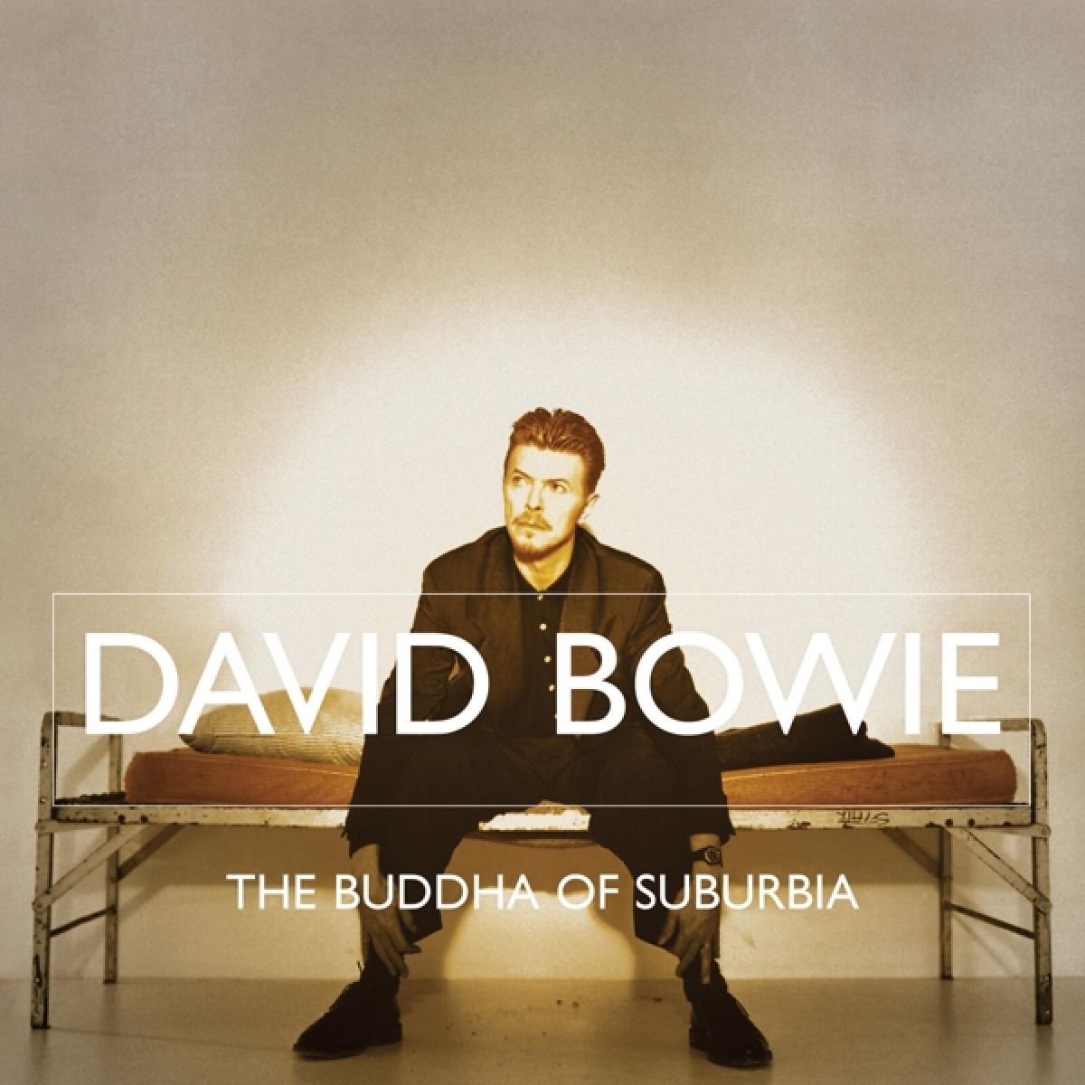 Afbeelding van David Bowie - The Buddha Of Suburbia