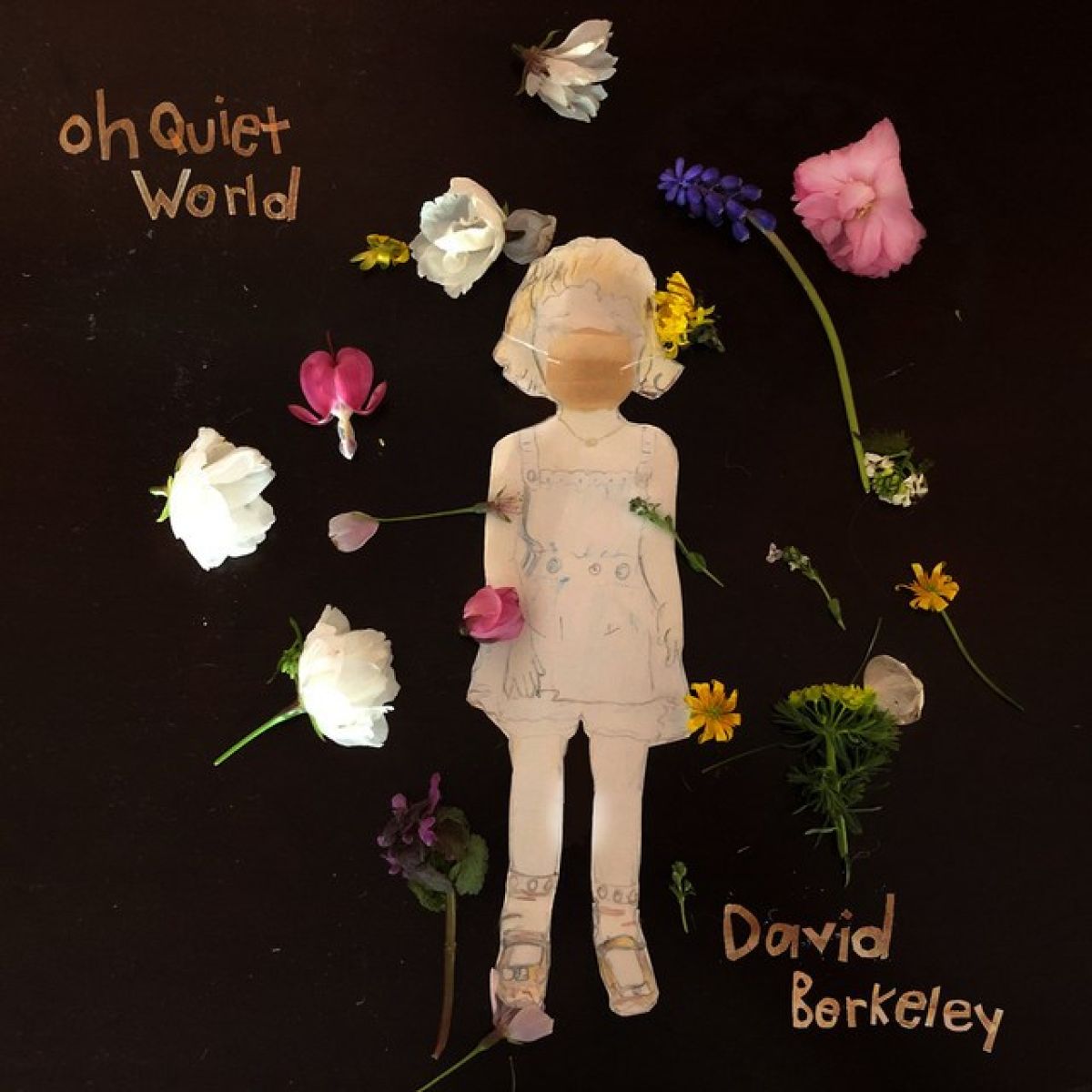 Afbeelding van David Berkeley - Oh Quiet World