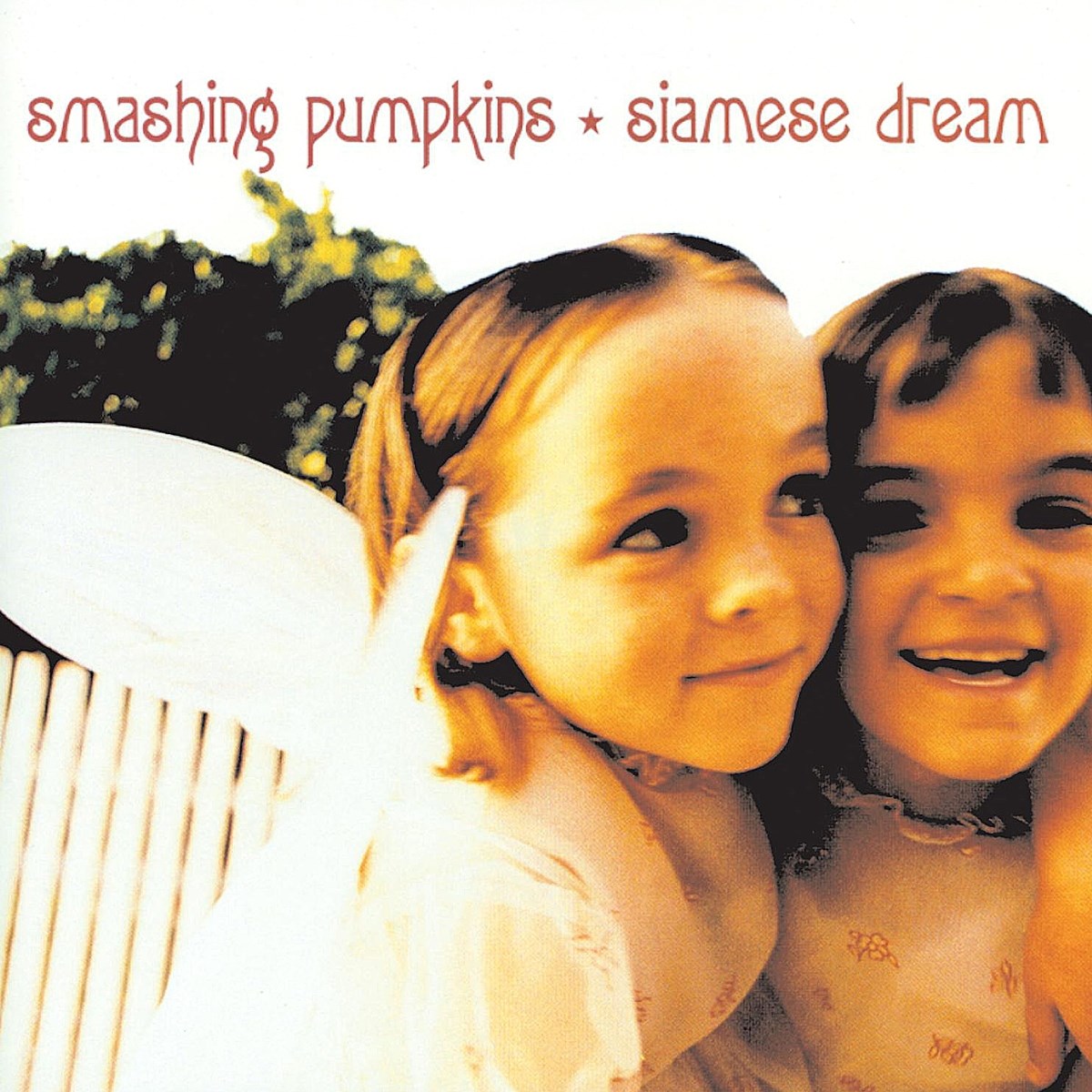 Afbeelding van Smashing Pumpkins - Siamese Dream