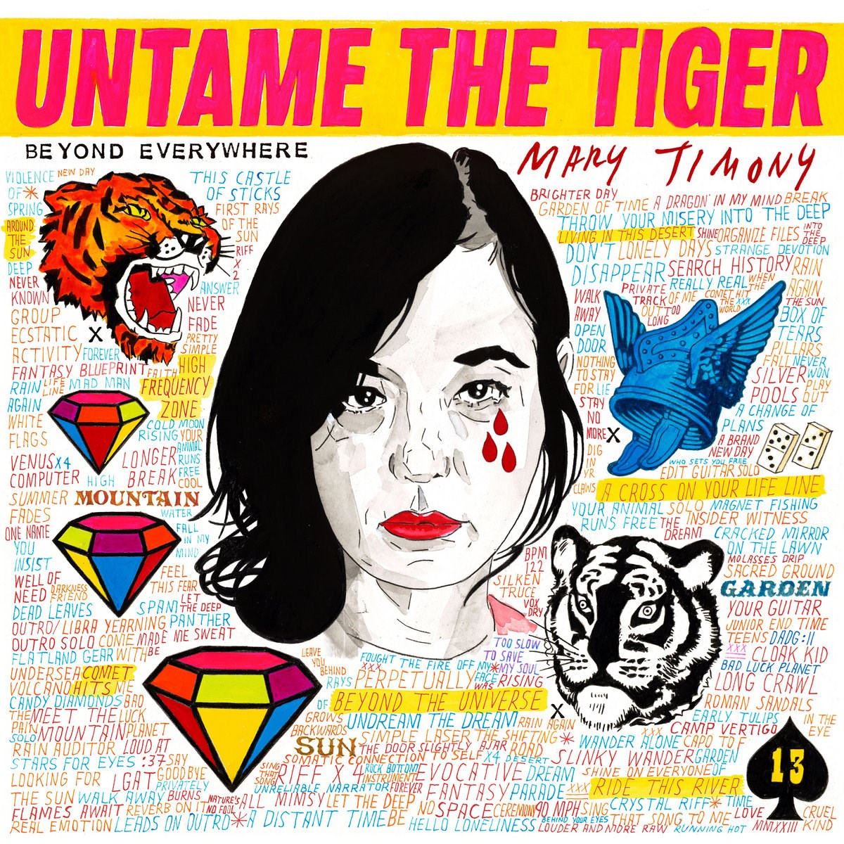 Afbeelding van Mary Timony - Untame The Tiger