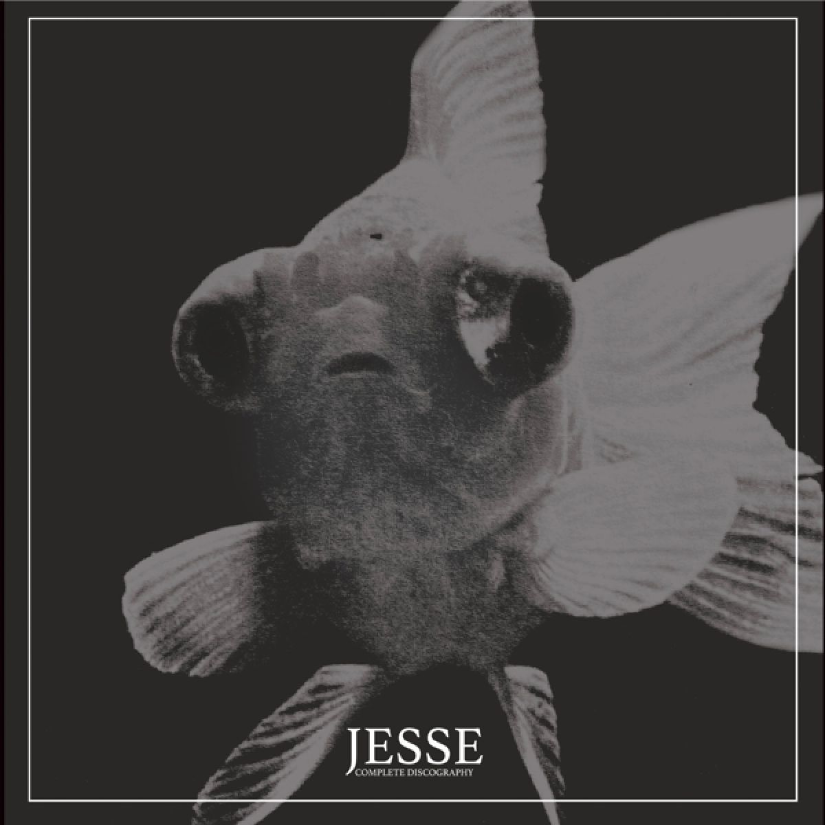 Afbeelding van Jesse - Complete Discography
