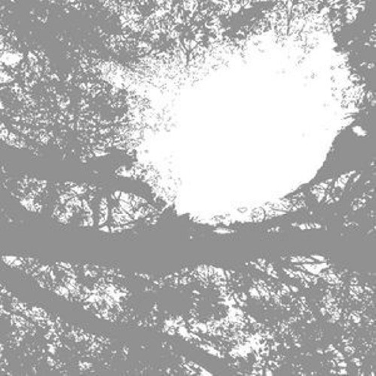 Afbeelding van Comets On Fire - Field Recordings From The Sun