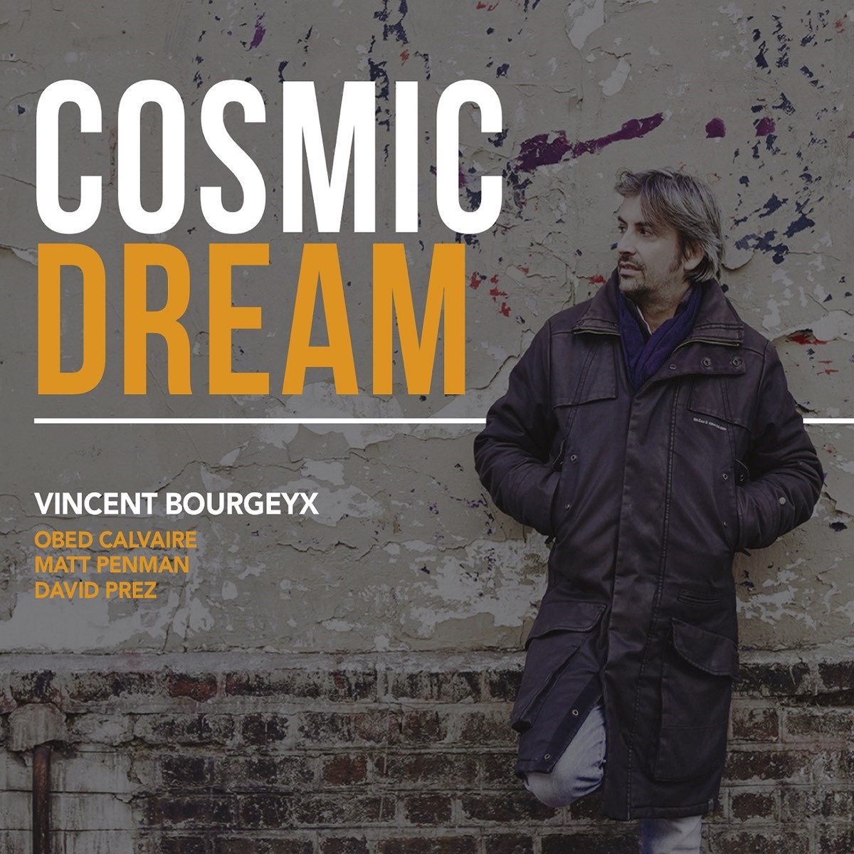 Afbeelding van Vincent Bourgeyx - Cosmic Dream