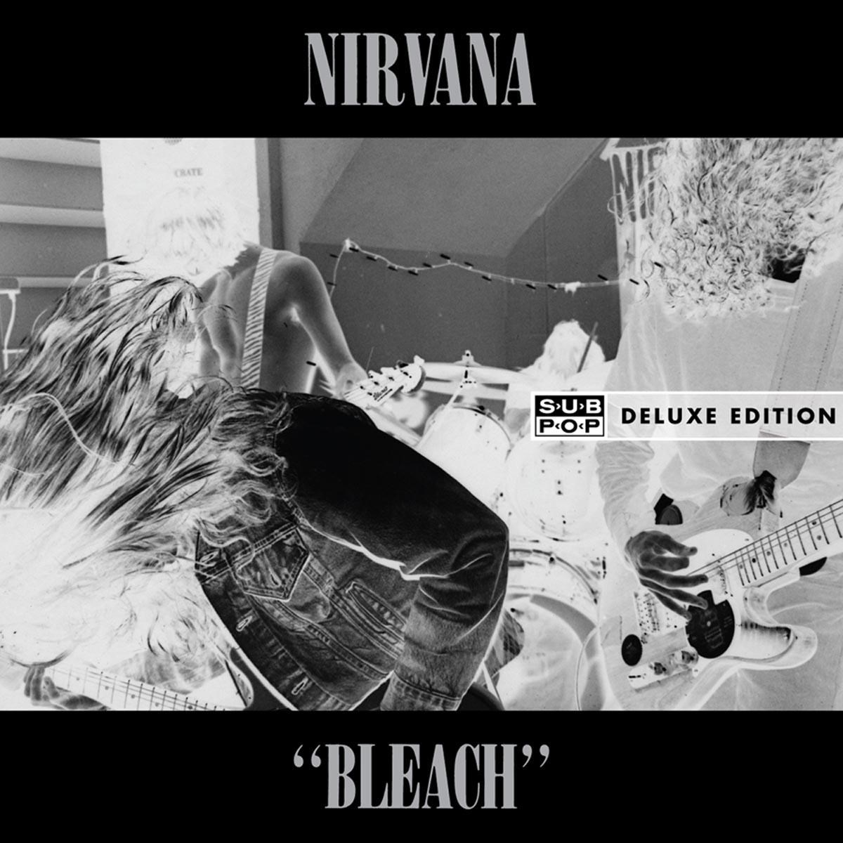 Afbeelding van Nirvana - Bleach