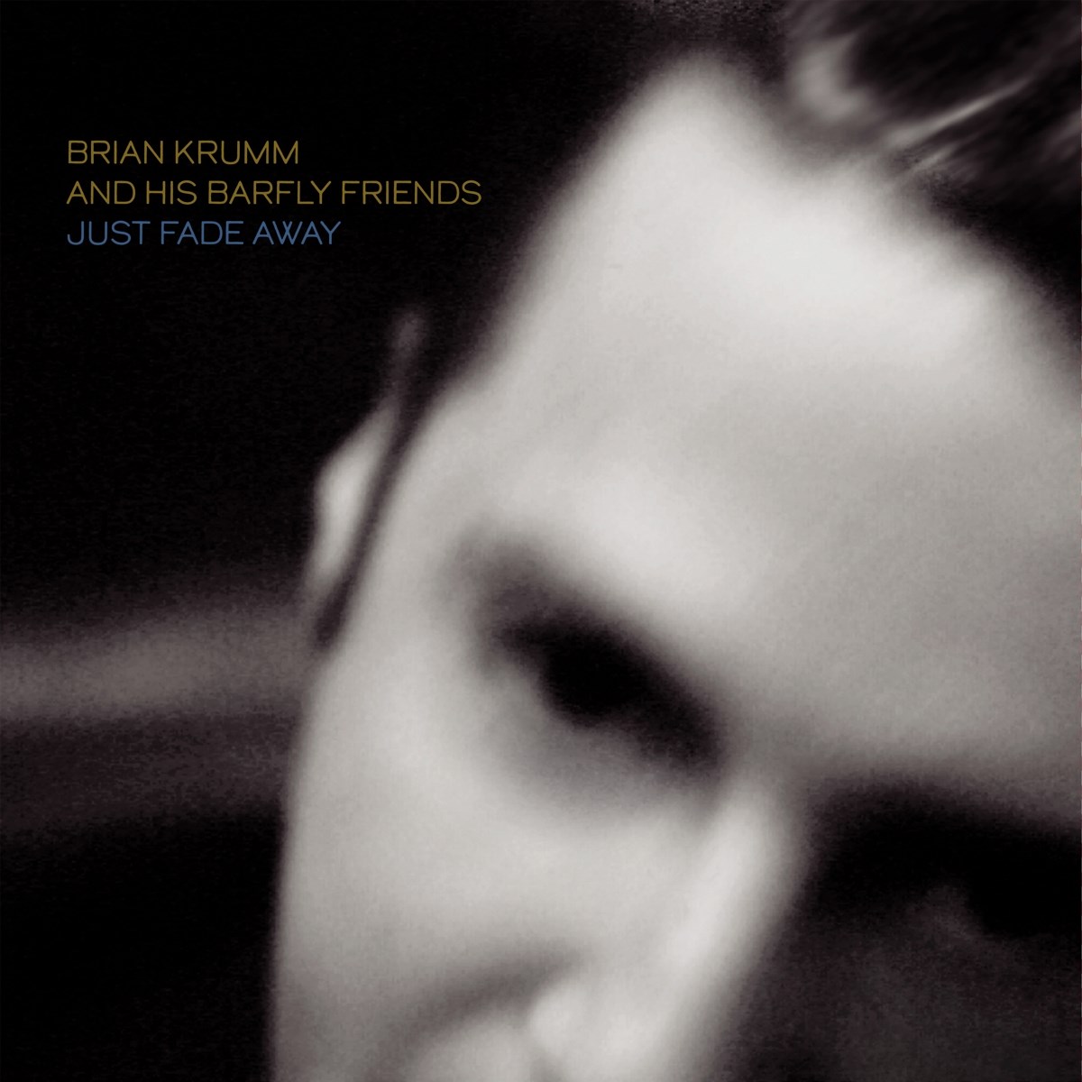 Afbeelding van Brian Krumm & His Barfly Friends - Just Fade Away