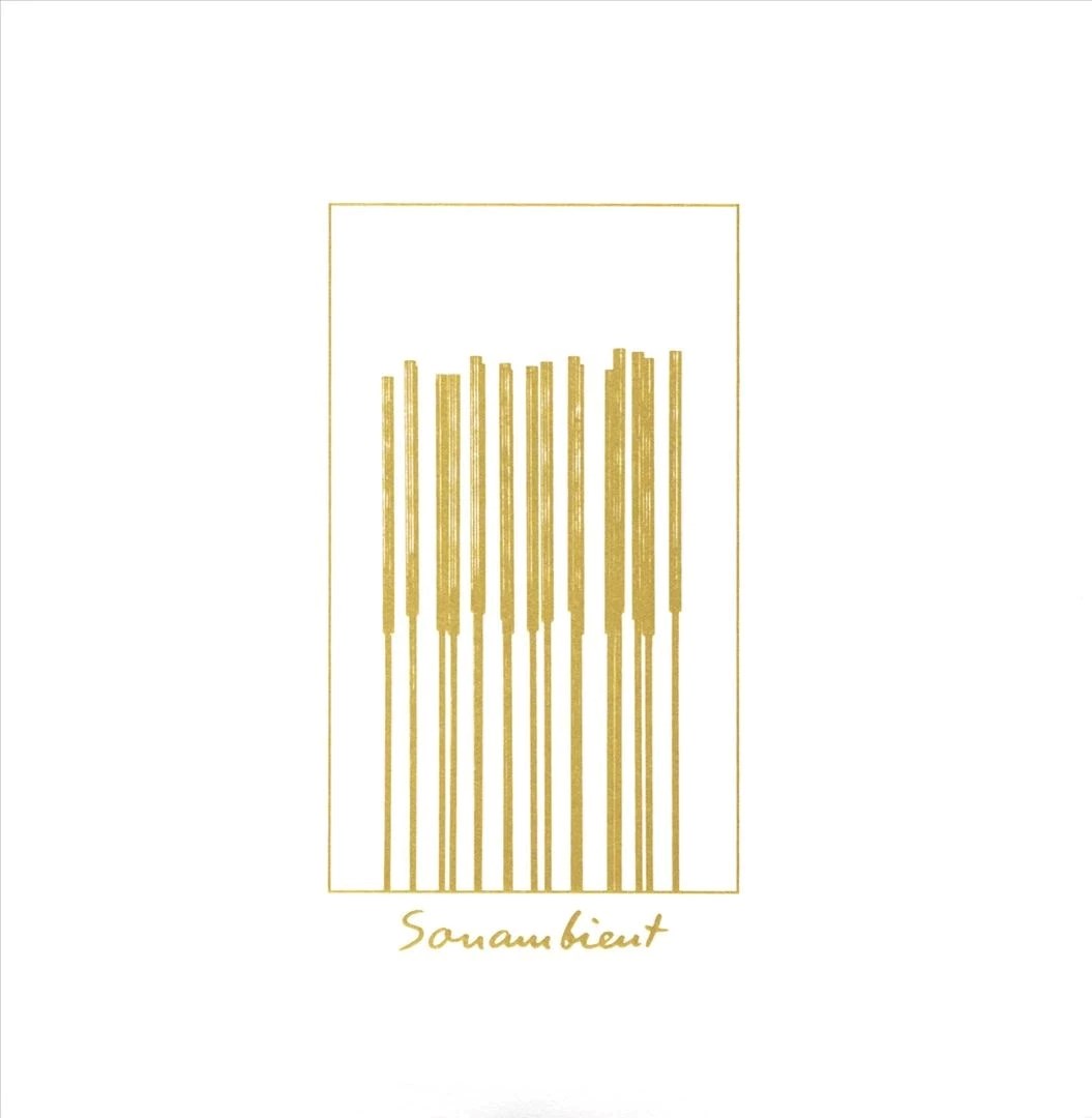 Afbeelding van Harry Bertoia - Sonambients: The Sound Sculpture Of Harry Bertoia
