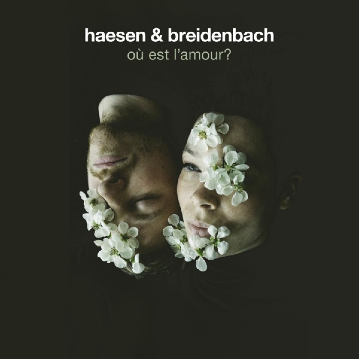 Haesen & Breidenbach - Ou Est L'Amour?
