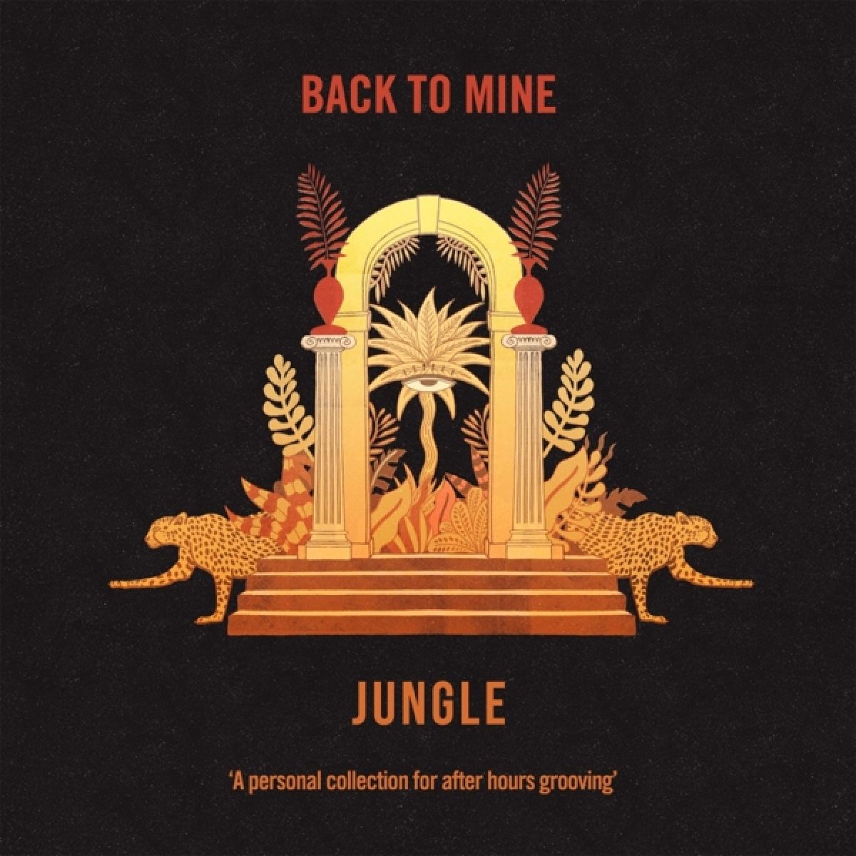 Afbeelding van Jungle - Back To Mine