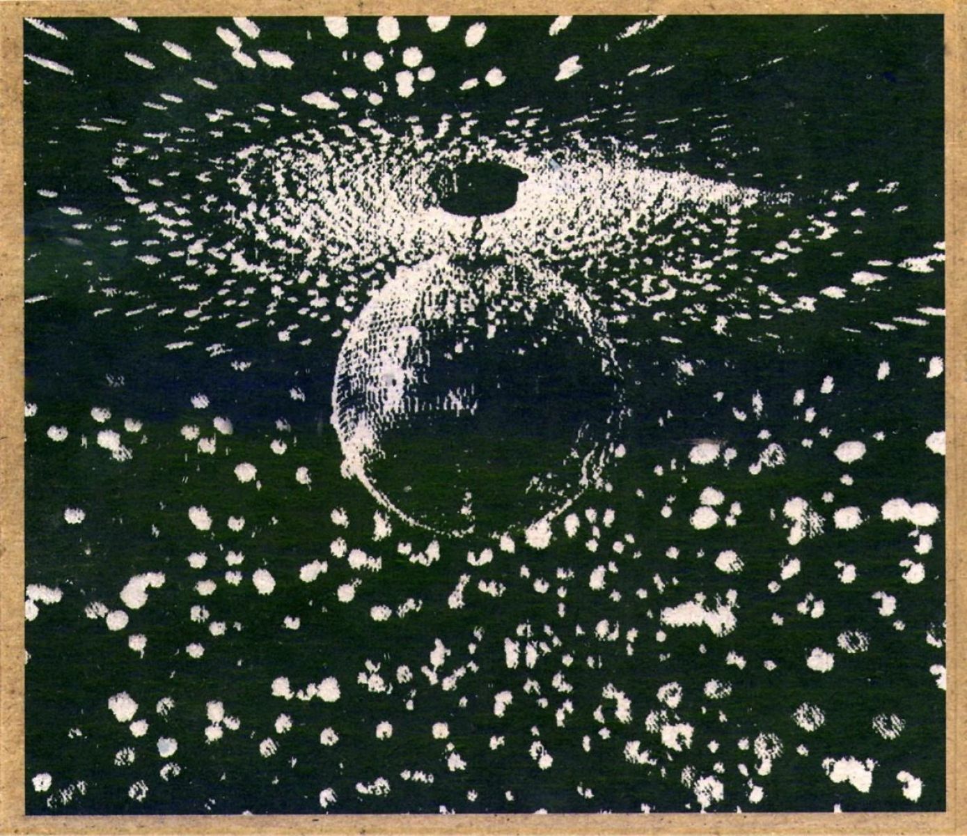 Afbeelding van Neil Young - Mirror Ball