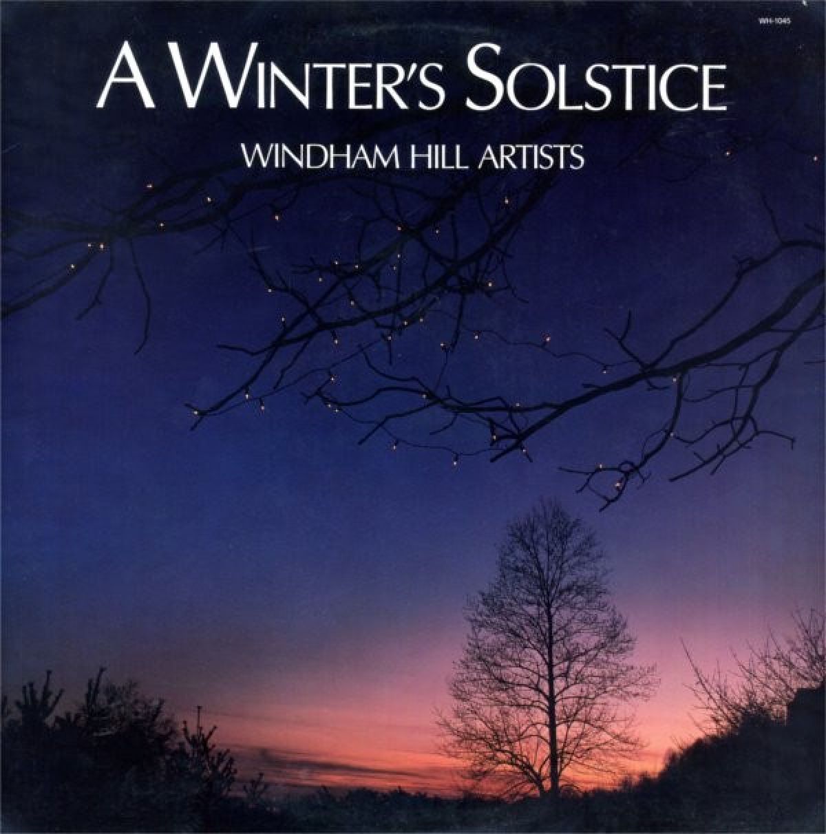 Afbeelding van Various Artists - Winter Solstice