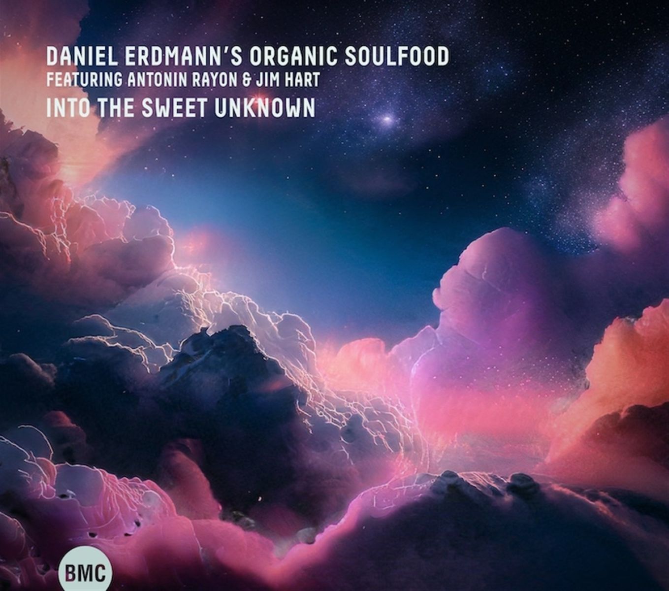 Afbeelding van Daniel Ermann's Organic Soulfood - Into The Sweet Unknown
