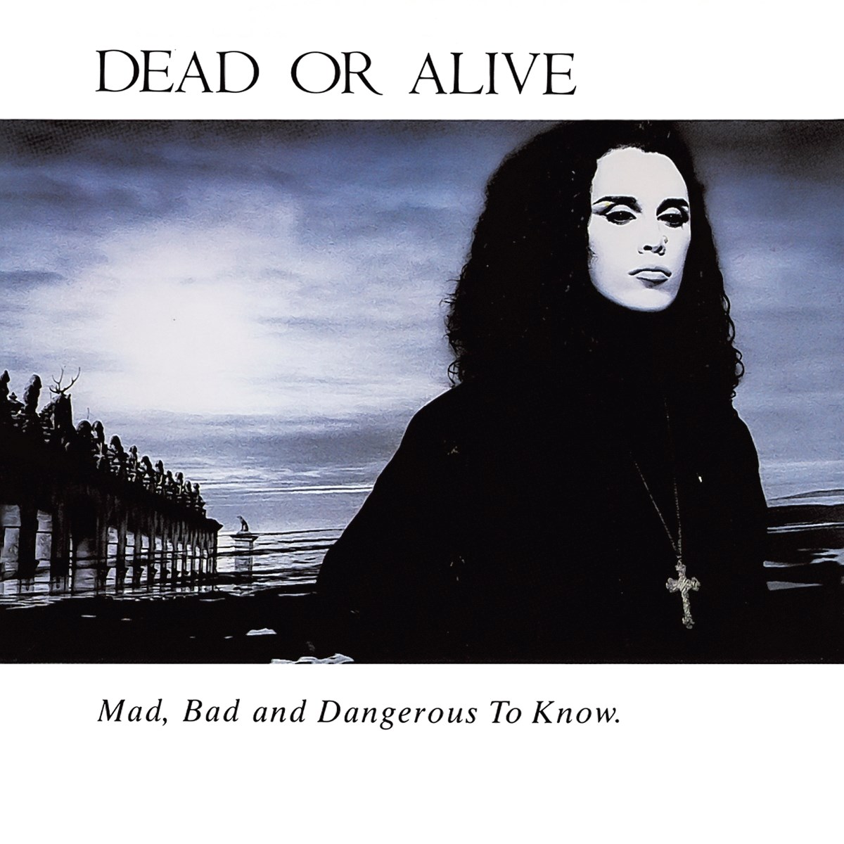 Afbeelding van Dead Or Alive - Mad, Bad And Dangerous To Know
