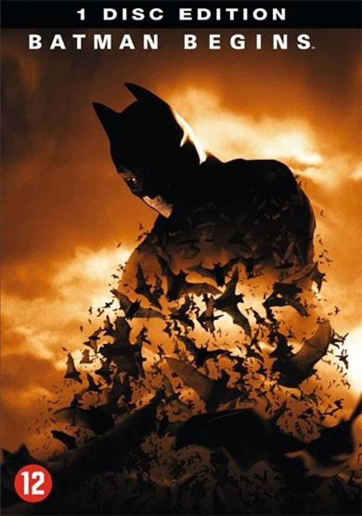 Afbeelding van Batman Begins