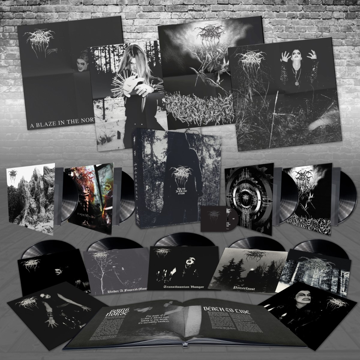 Afbeelding van Darkthrone - The Fist In The Face Of God