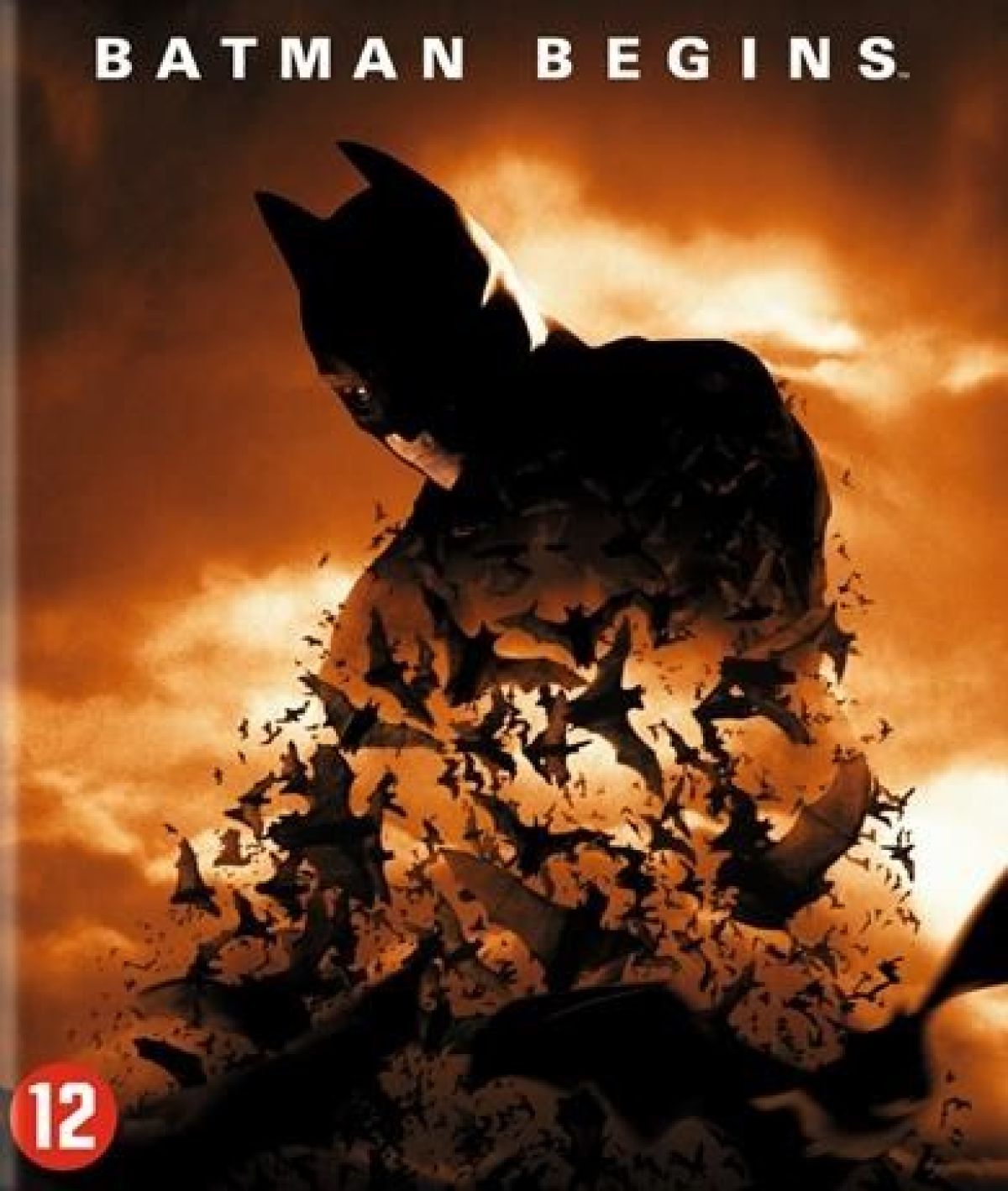 Afbeelding van Batman Begins