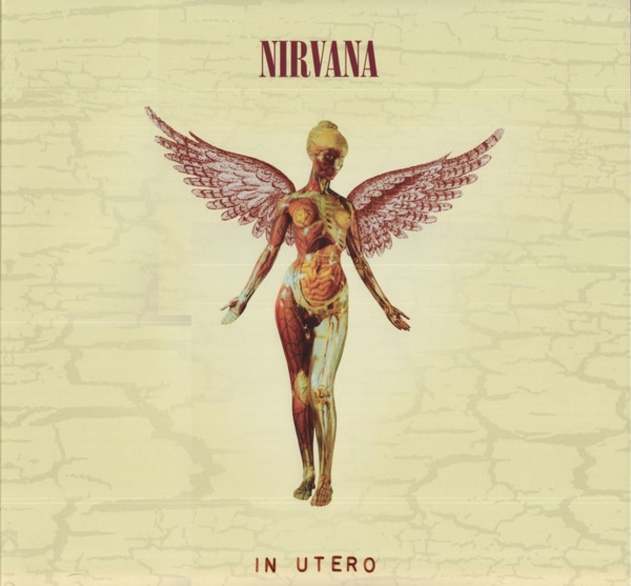 In Utero