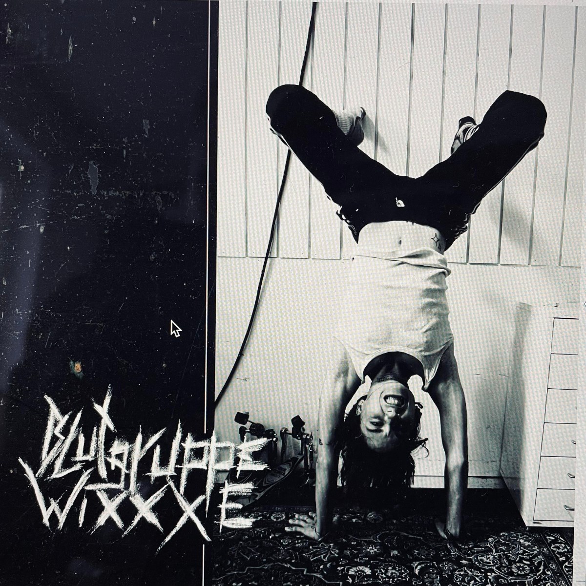 Afbeelding van Blutgruppe Wixxxe - Blutgruppe Wixxxe