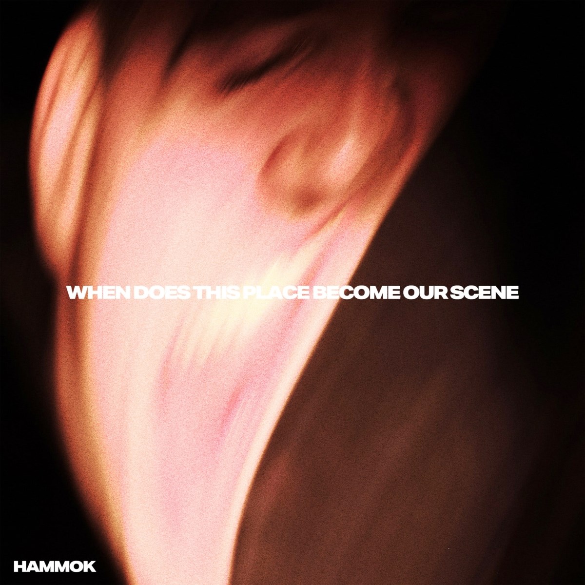 Afbeelding van Hammok - When Does This Place Become Our Scene