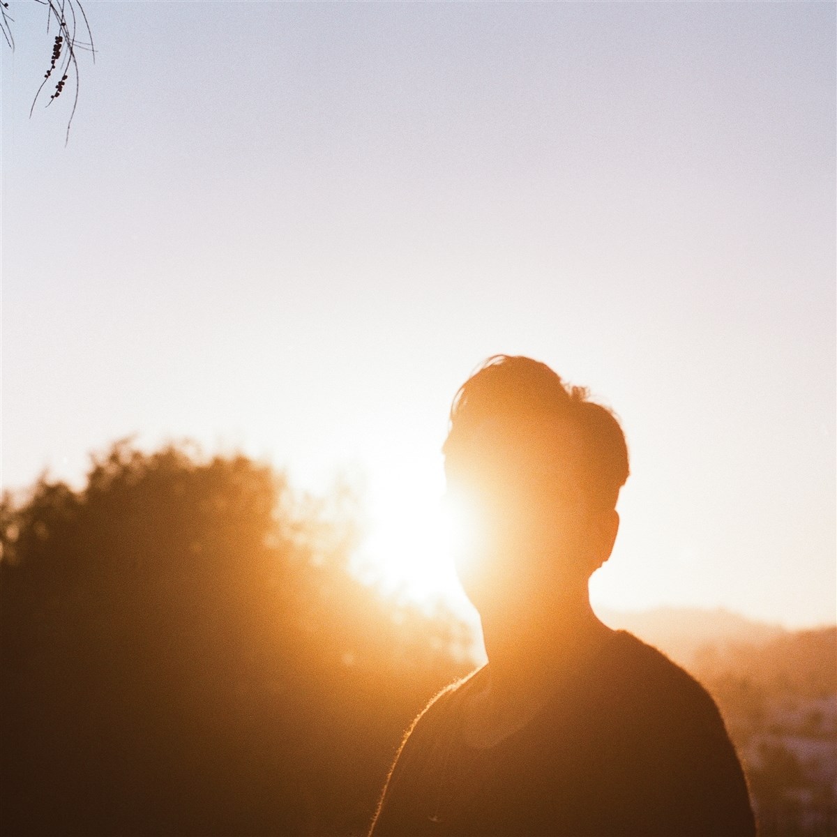 Afbeelding van Hrishikesh Hirway - In The Last Hour Of Light