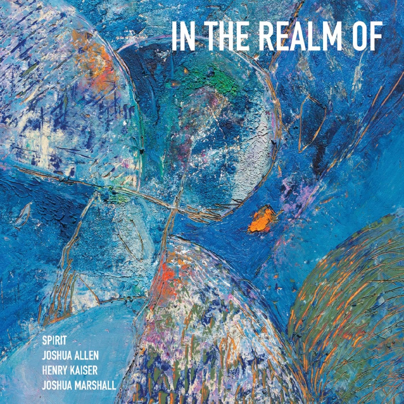 Afbeelding van Spirit, Henry Kaiser, Joshua Allen & Joshua Marshall - In The Realm Of