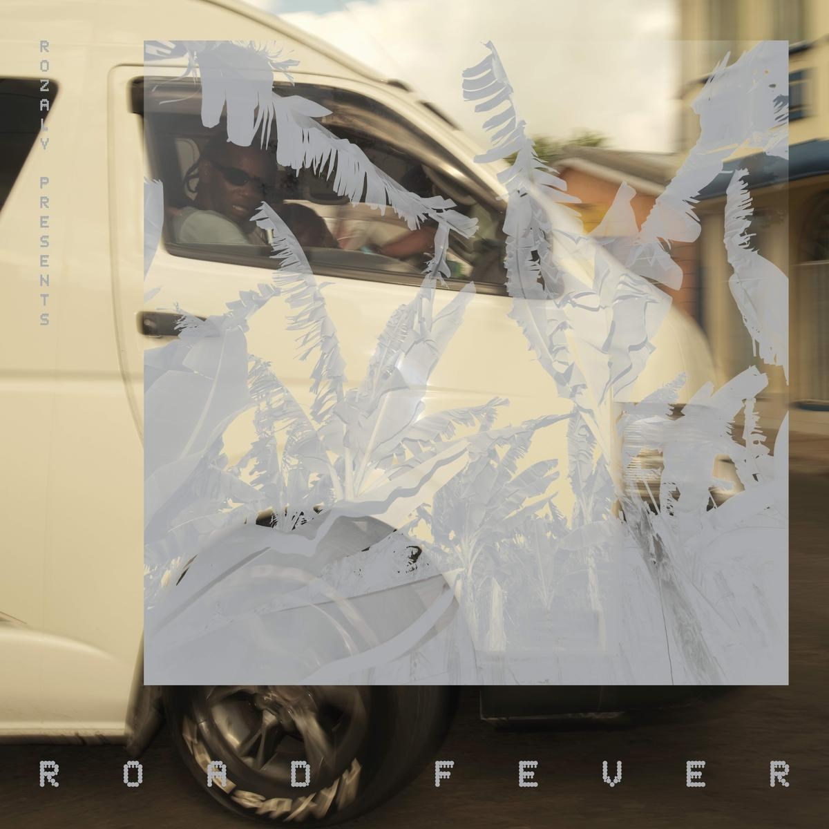 Afbeelding van Various Artists - Road Fever